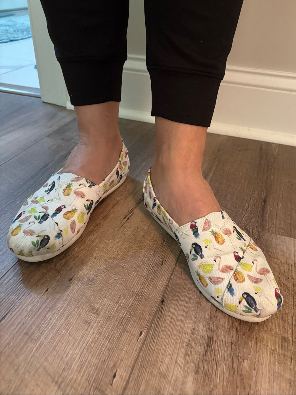 Slip-On Toms with Colorful Bird & Fruit Print